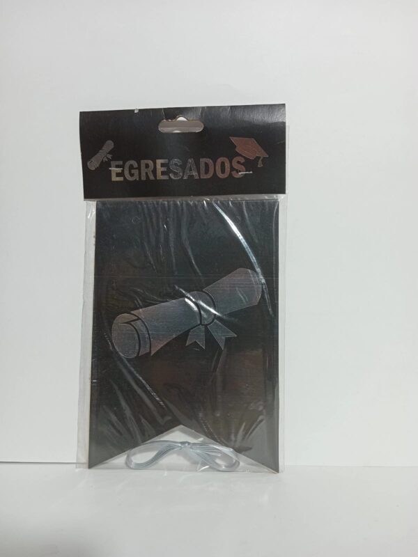 Banderin Con Stamping Egresados X1 3348/35 Gm