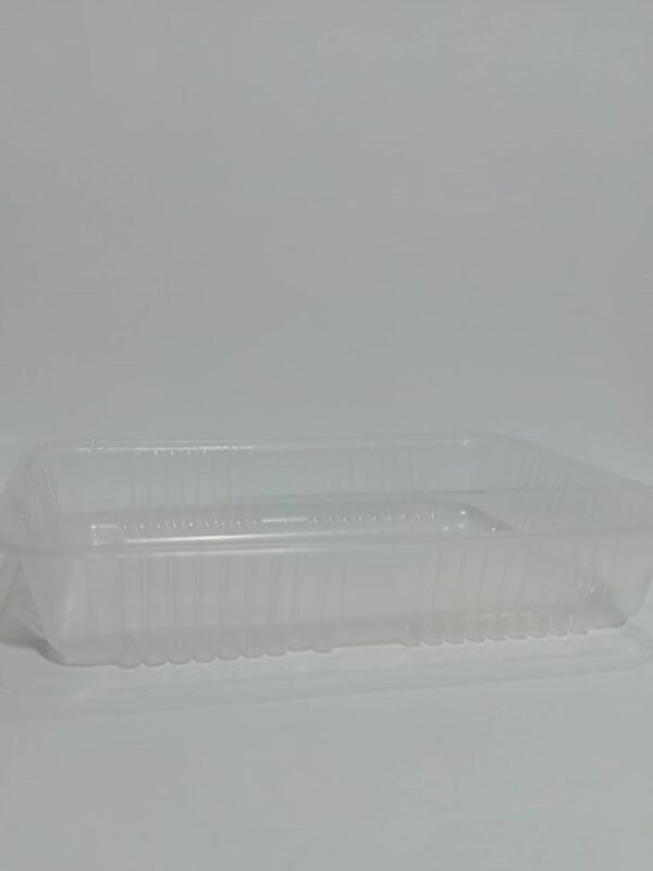 BANDEJA MICROONDAS Nº 102 S RECTANGULAR B.P "NARAN-PP"