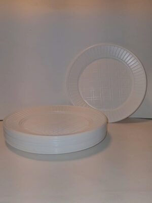 PLATO GRANDE BLANCO P22 x25u. B.P